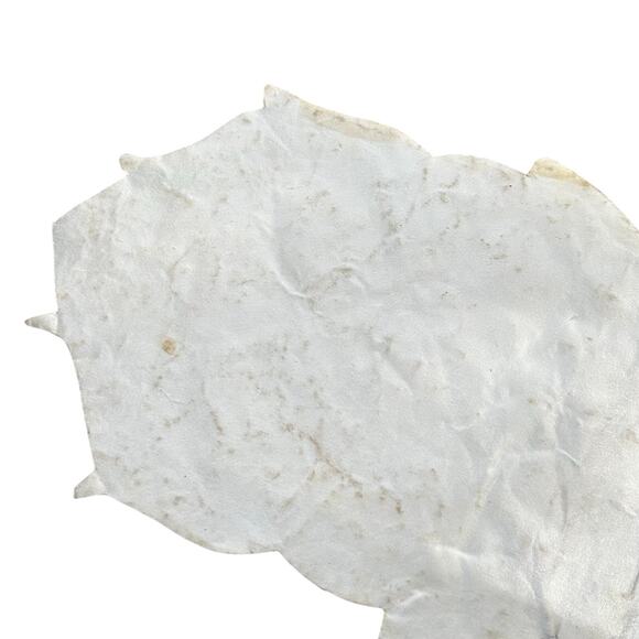 Pier 1 Hand Beaded Table Runner White Silver peacock pattern 13X36 In - Picture 11 of 15